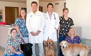 Doctor and Staff — Veterinary Hospital in chesterfield, MI