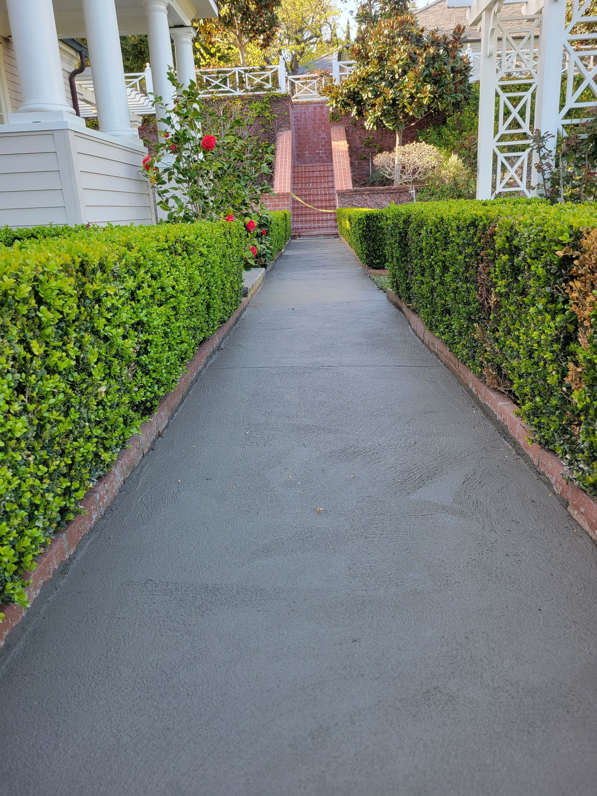 Gray paved path lined by green hedges, leading to steps and a white building.