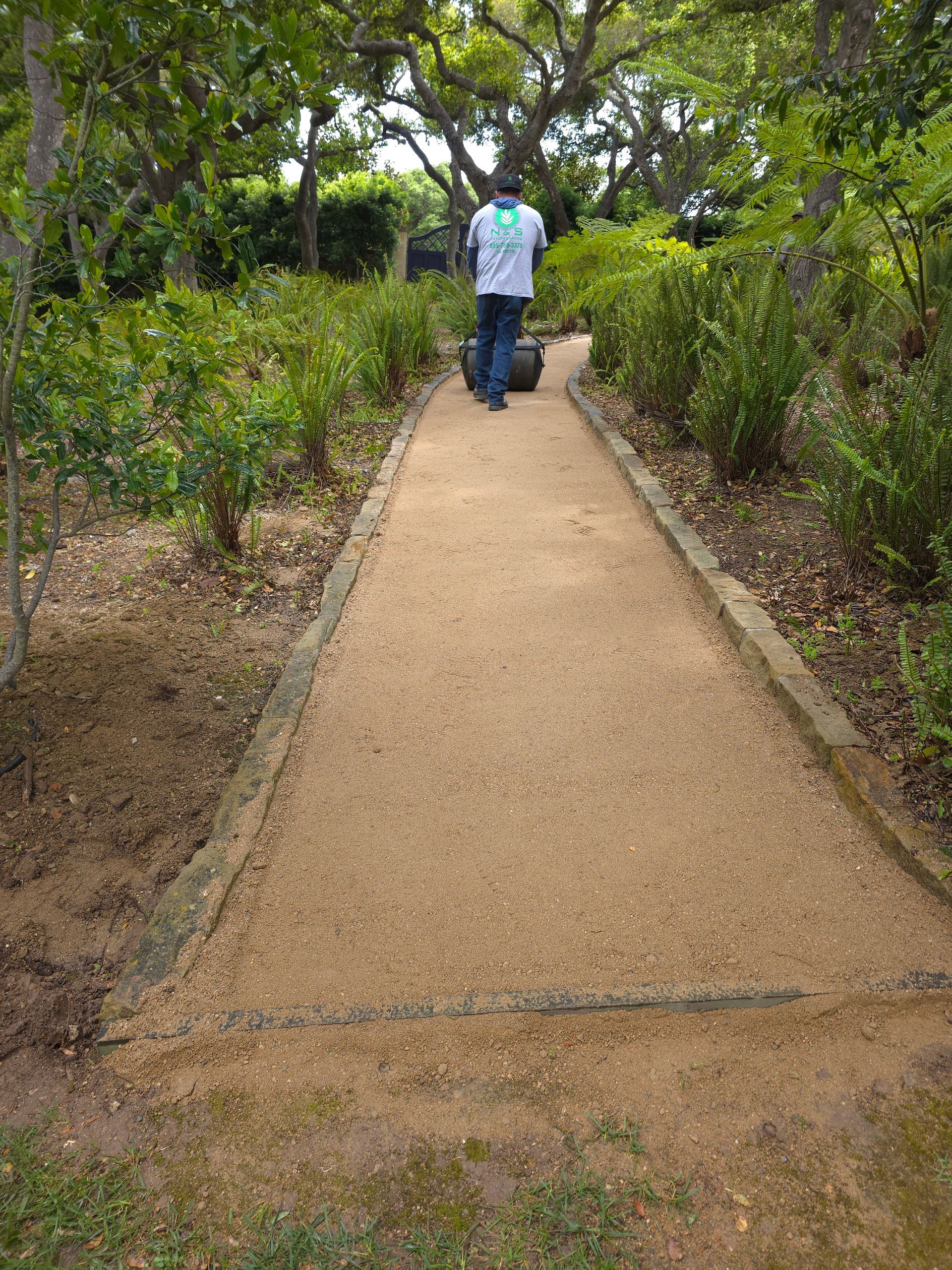 Man rolling a pavement roller on a tan gravel pathway in a garden with bushes and trees.