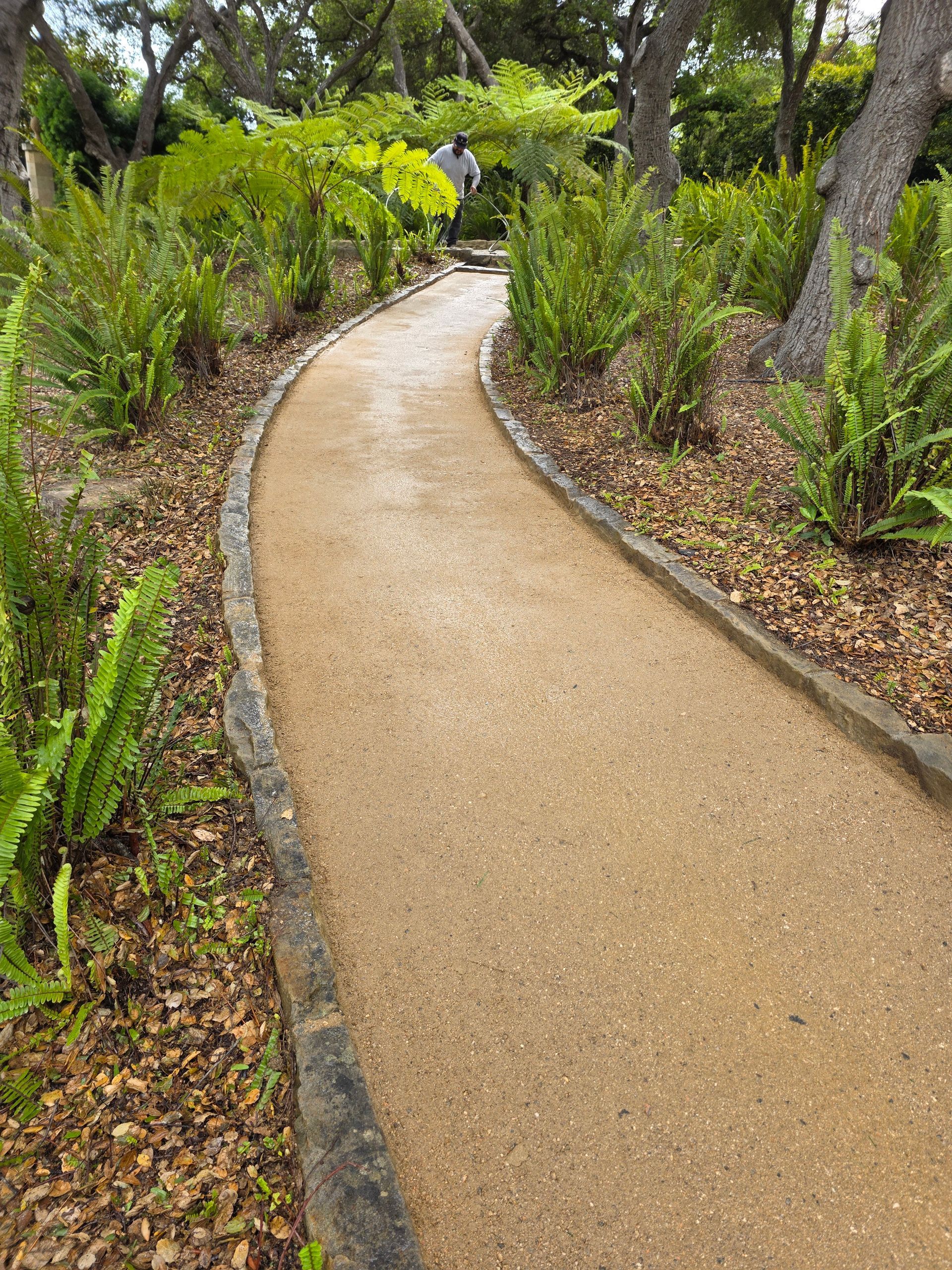 Gravel path curves through a lush garden, edged with stone, surrounded by ferns and greenery.