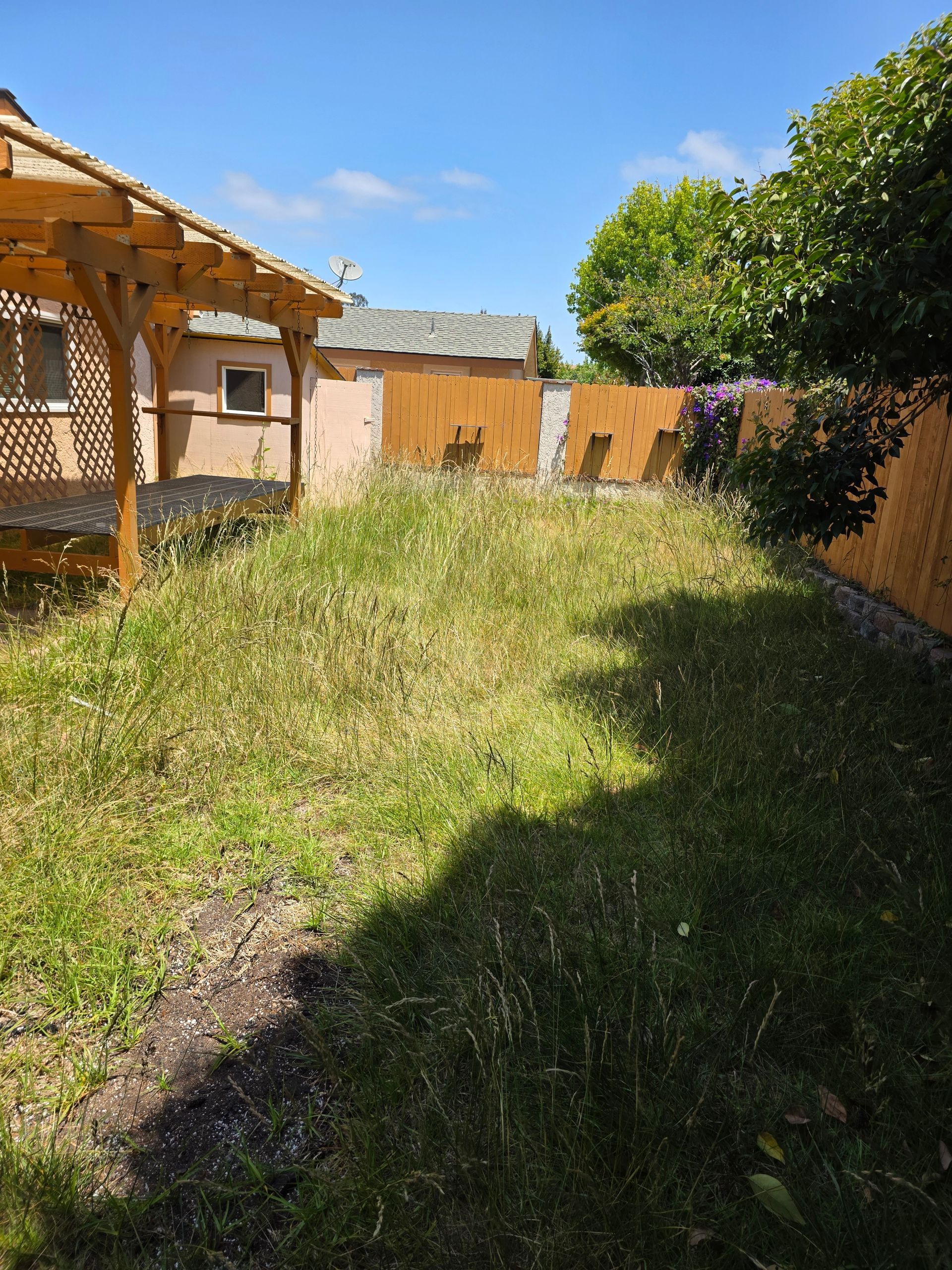 Grassy backyard with a wooden pergola, a weathered fence, and a blue sky.