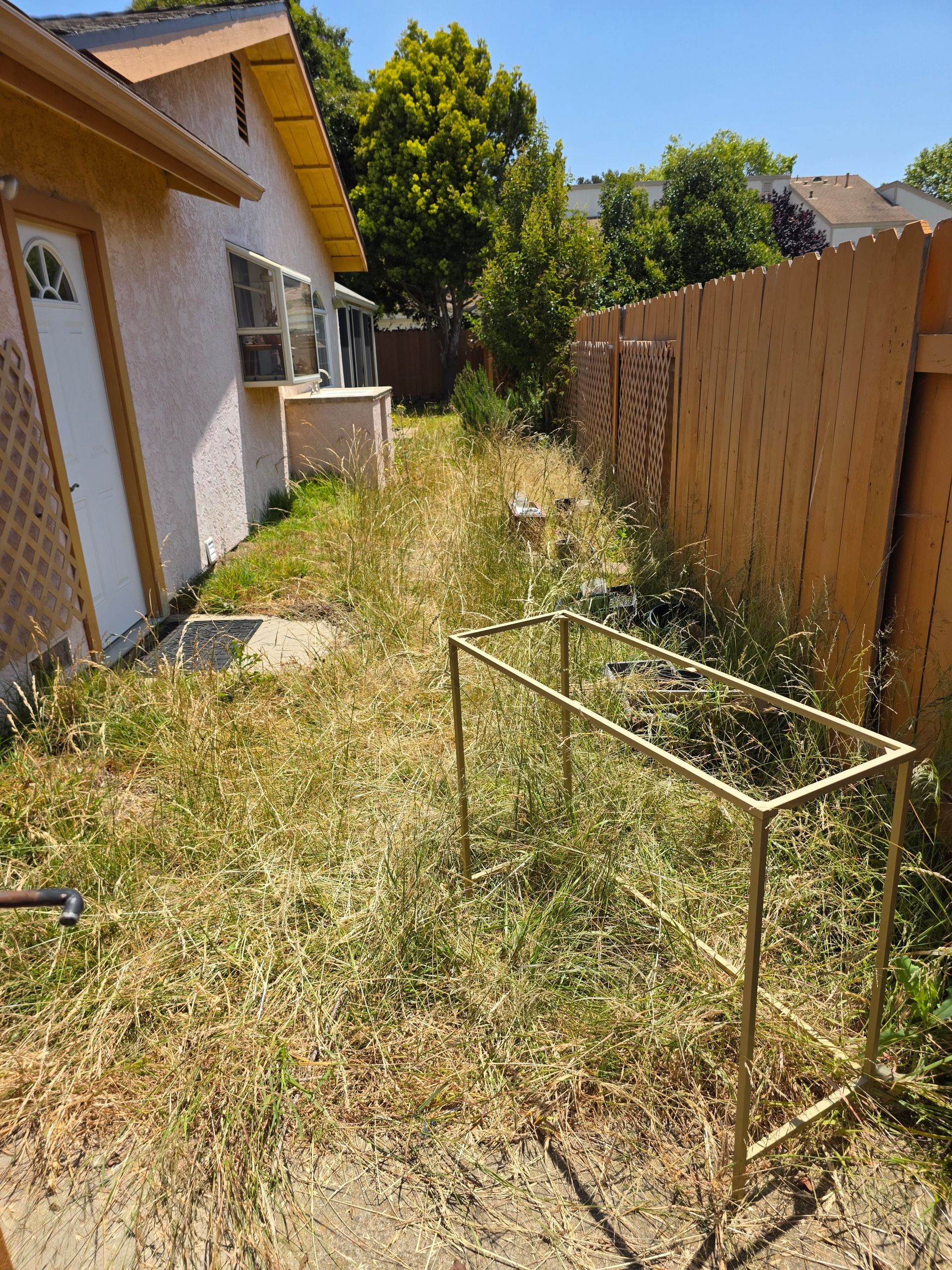 Backyard with overgrown weeds, brown fence, and a metal frame.