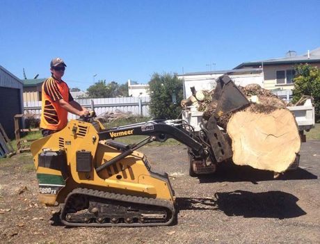 Stump Grinding - Palm removal Bundaberg in Bundaberg, QLD