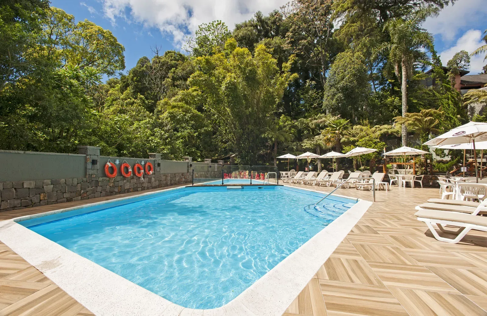 Piscina rodeada por espreguiçadeiras, guarda-sóis e árvores verdejantes.