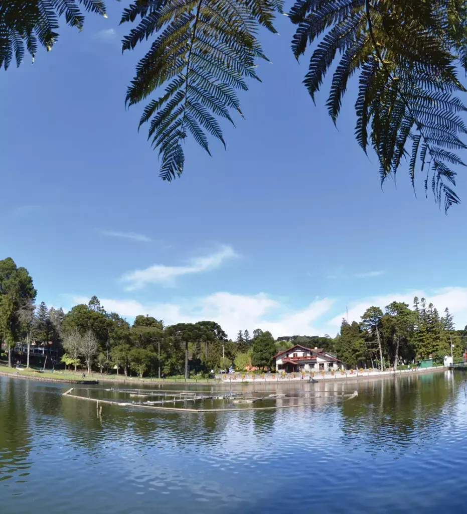 Cena de lago com céu azul, árvores e um prédio na margem oposta. Samambaias emolduram a parte superior.