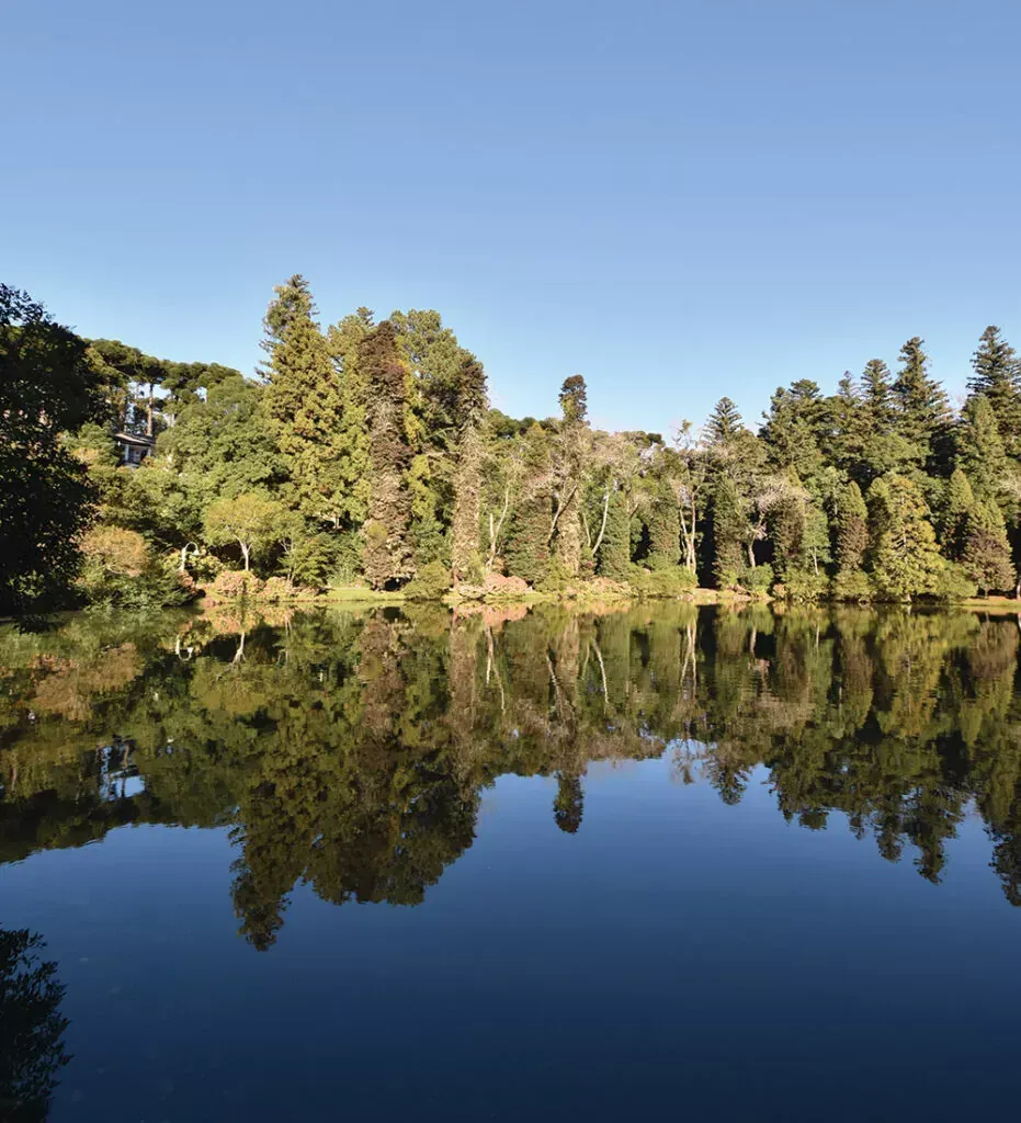 Lago tranquilo que reflete as árvores e o céu azul.