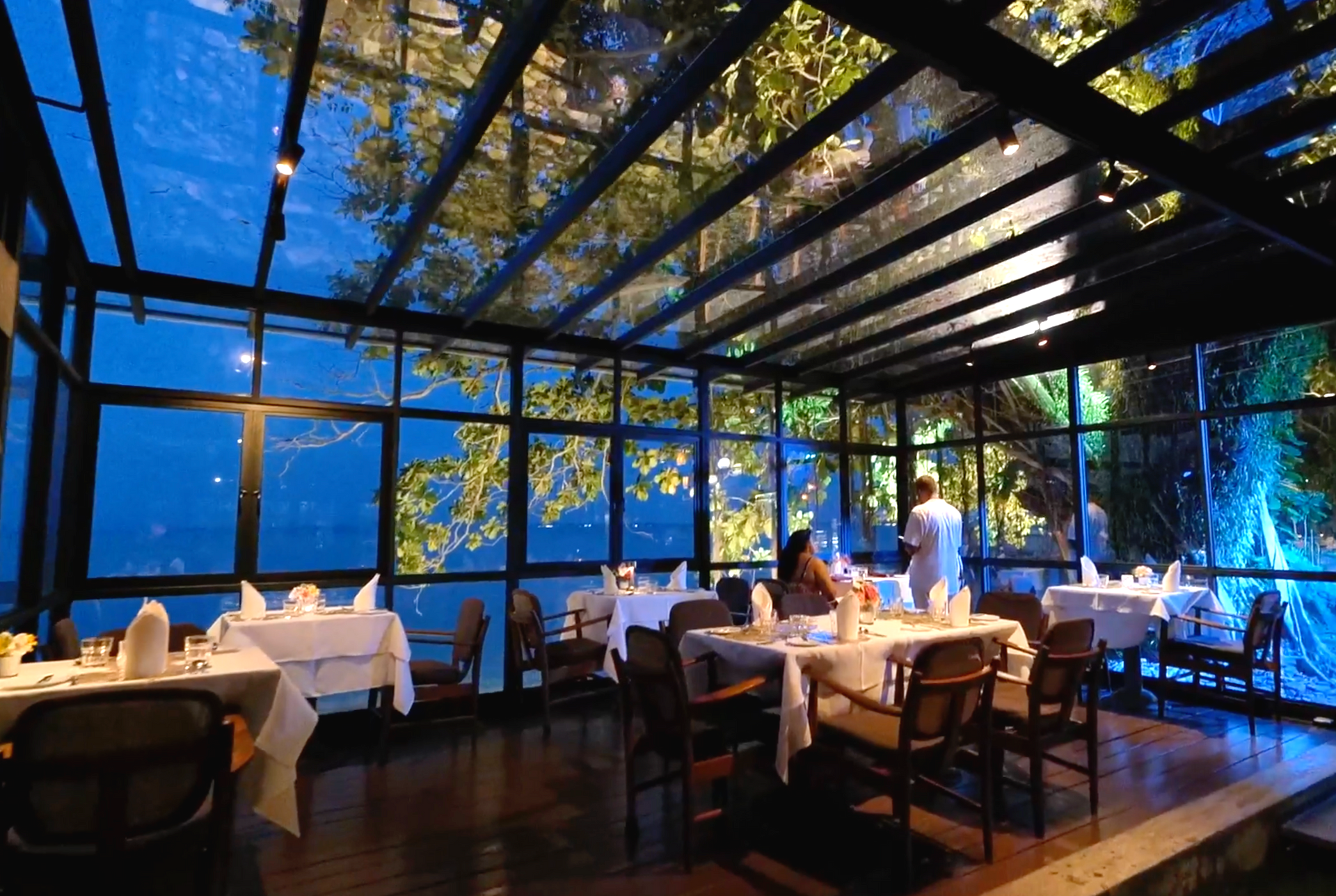 Upscale restaurant with glass walls and ceiling, overlooking a lush, illuminated outdoor landscape at twilight.
