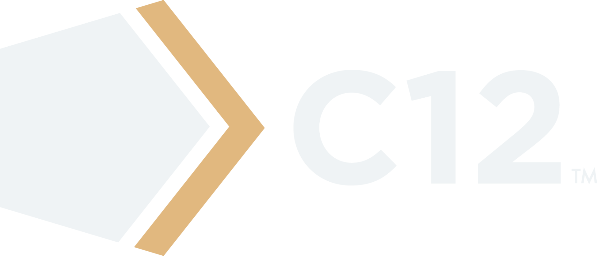 a logo for a company called C12 with an arrow pointing to the right .