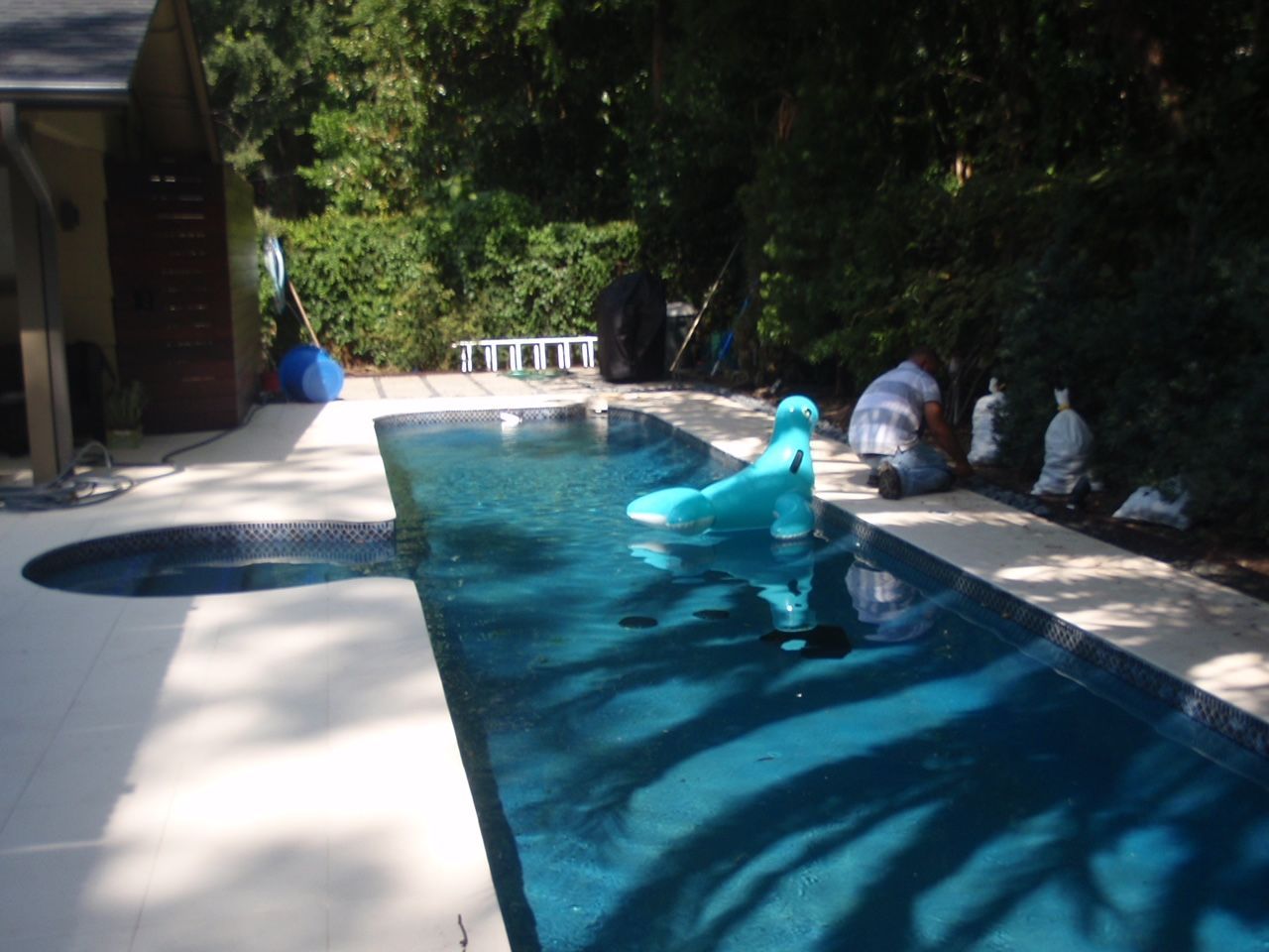 A blue inflatable seal is floating in a swimming pool