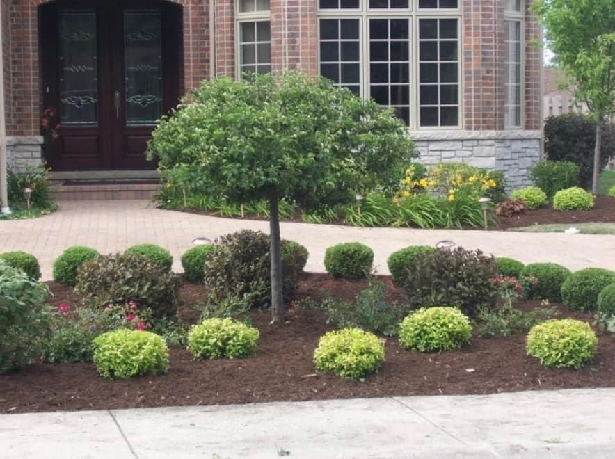 There are stairs leading up to a house in the woods.