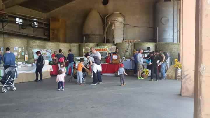 mascotte mucca ad una fiera