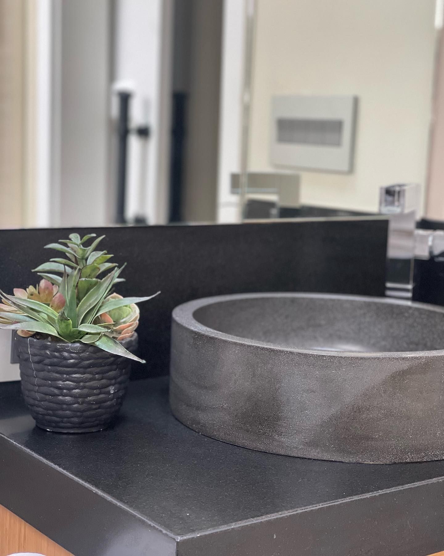 A potted plant sits next to a sink in a bathroom
