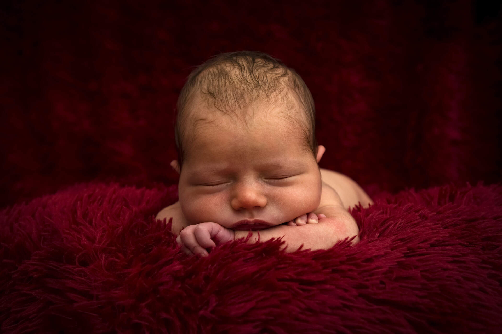 newborn photography service