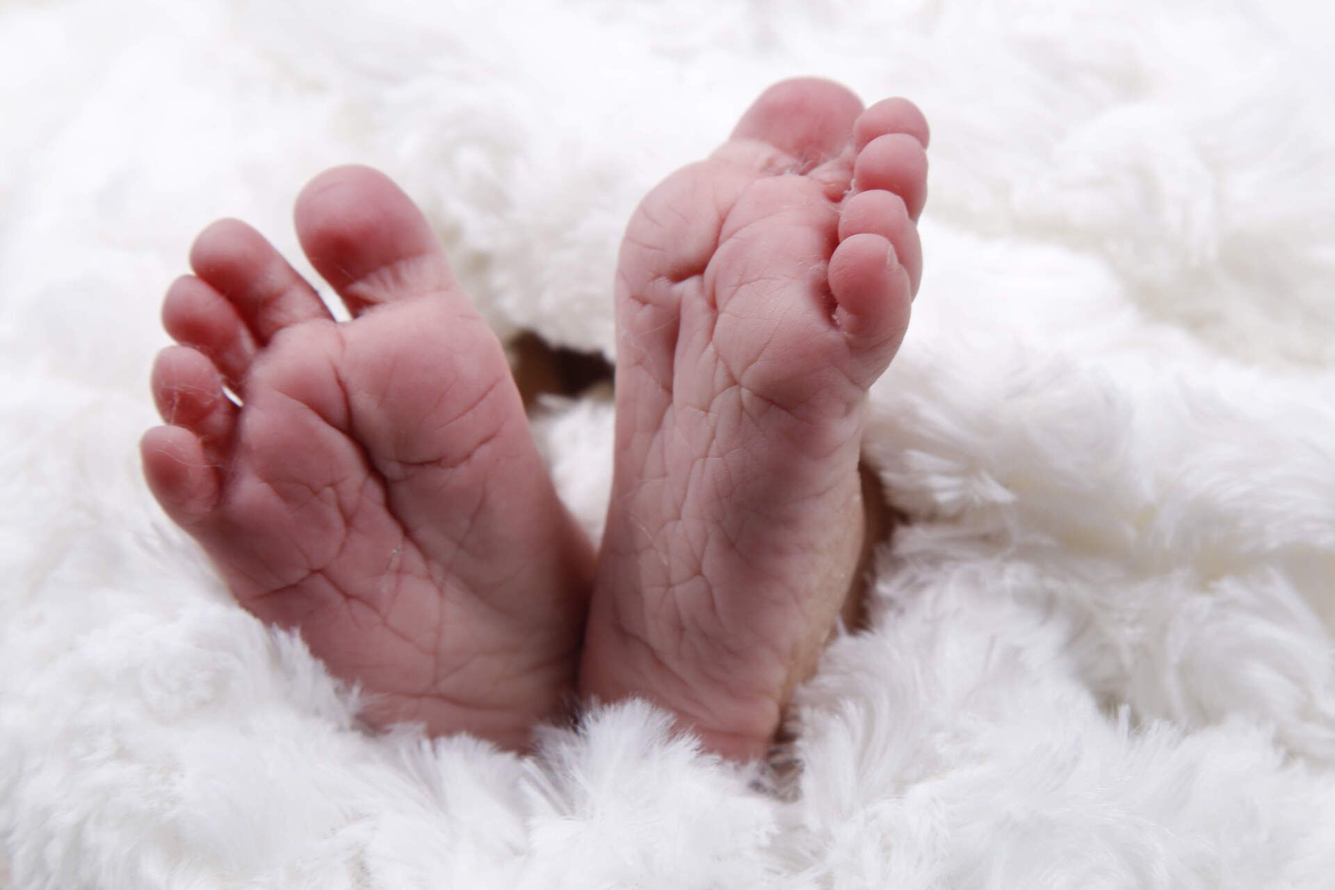 newborn photographer near me