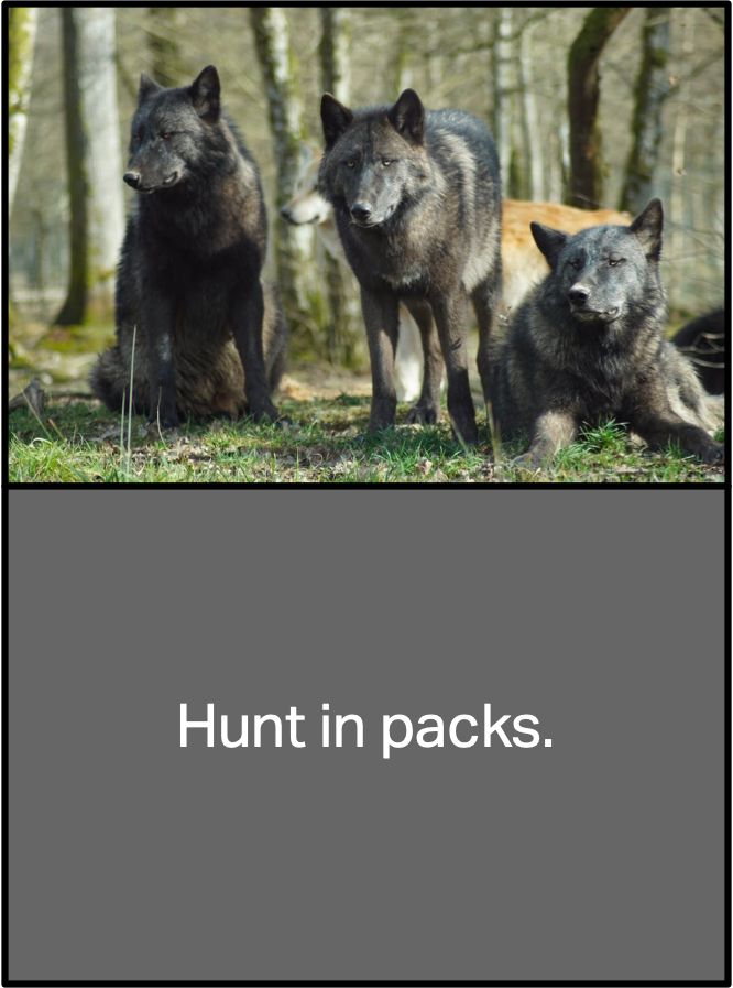 Hunt in Packs