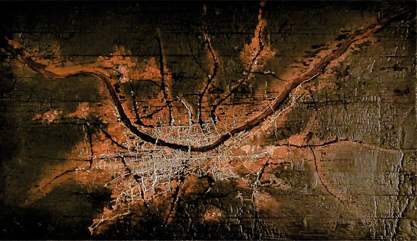 peinture brune sandrine damour