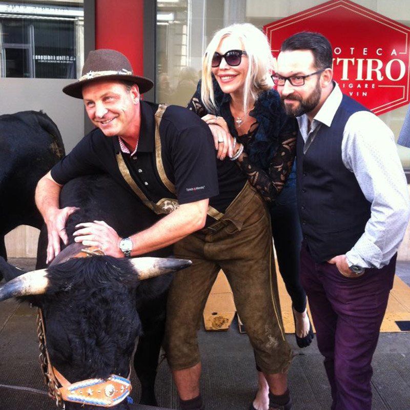 photo avec vaches combattantes