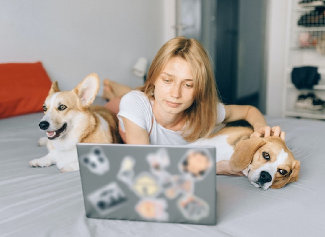 Why Landlords Should Rent to Students with Pets