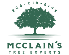McClains Tree Experts