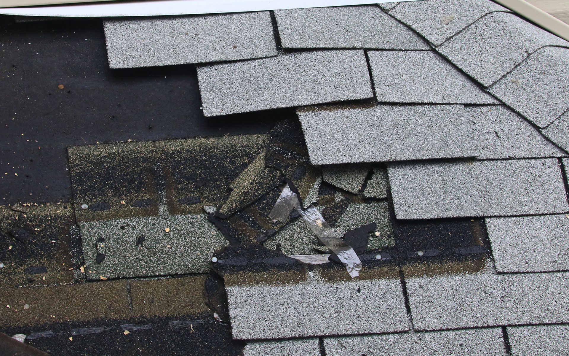 Damaged gray asphalt roof shingles with a hole, revealing black underlayment.