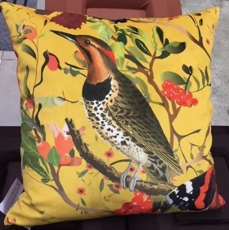 cuscini a Bologna con uccello