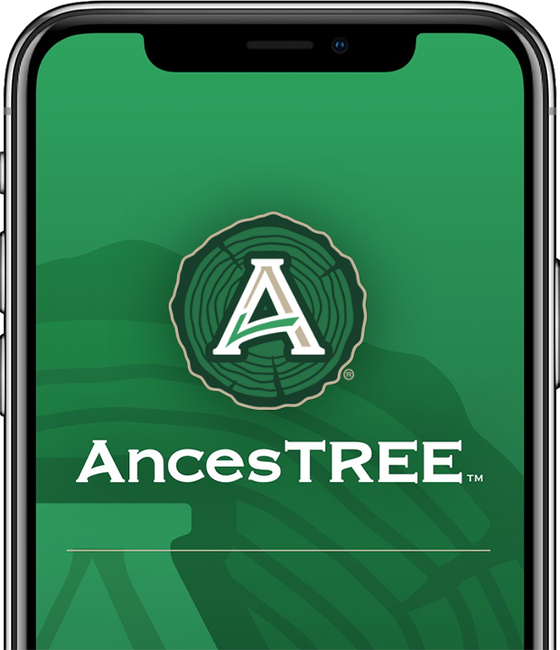 A cell phone with the ancetree logo on the screen.
