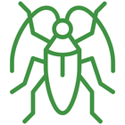 A green cockroach icon on a white background.