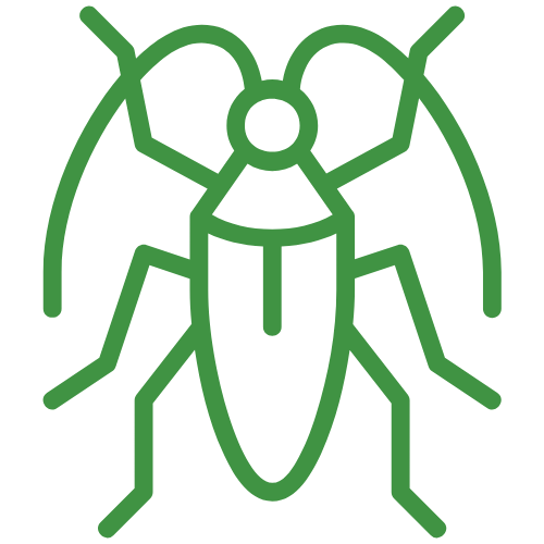 A green cockroach icon on a white background.