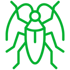 A green cockroach icon on a white background.