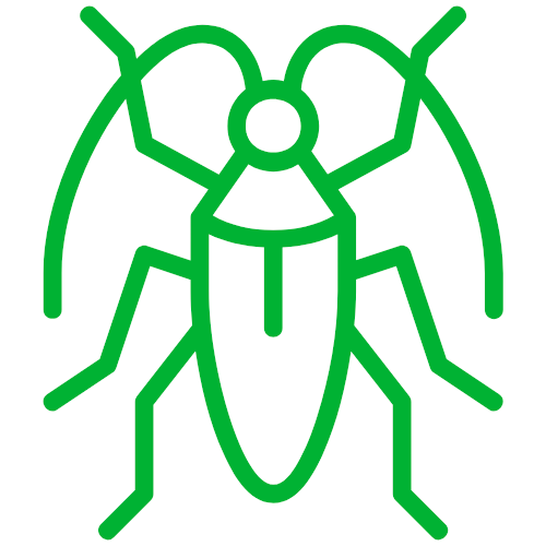 A green cockroach icon on a white background.