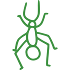 A green line drawing of an ant hanging upside down.