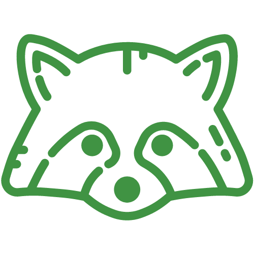 A green line drawing of a raccoon 's head on a white background.