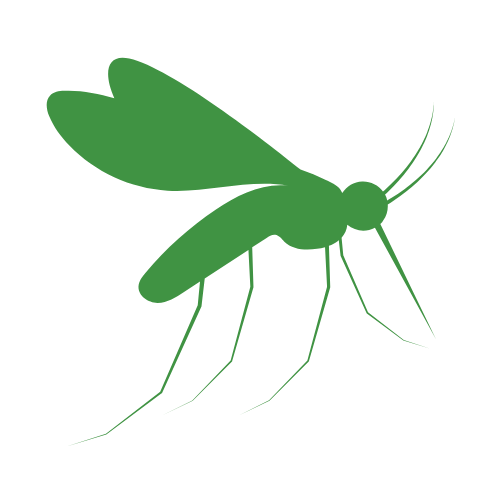 A green line drawing of an ant hanging upside down.