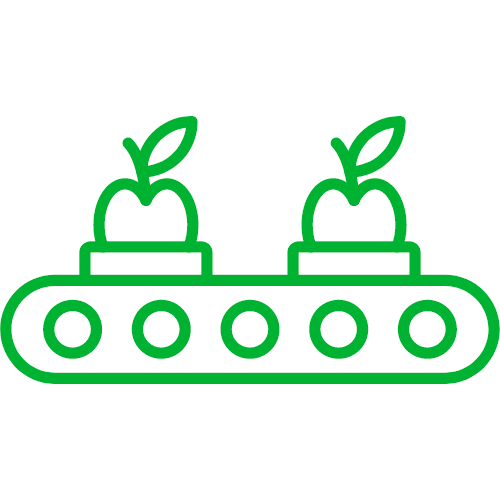 A conveyor belt with two apples growing out of it.