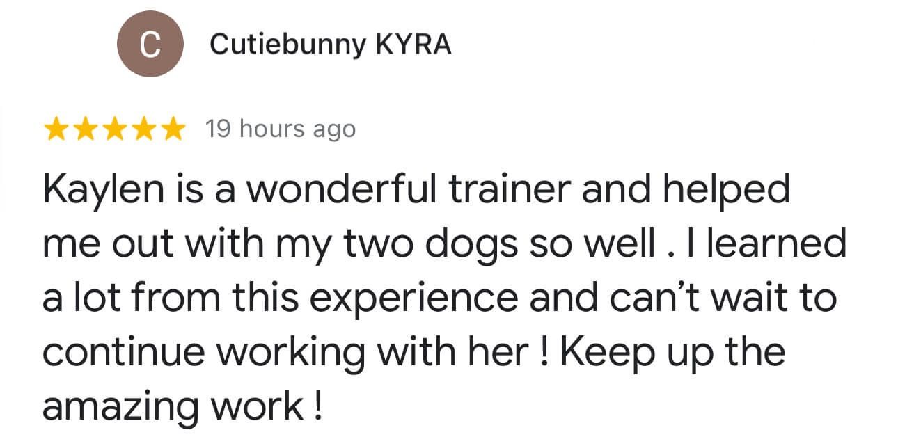 5-star review of how our training transformed the behavior of two dogs, with noticeable improvements and highly recommended.