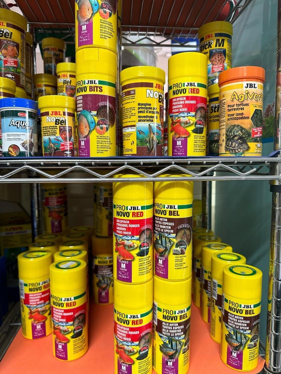 agrimaco vullo immagini acquari