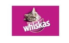 vullo marchi cani e gatti