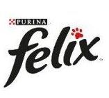 vullo marchi cani e gatti