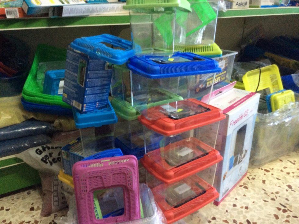 agrimaco vullo immagini acquari