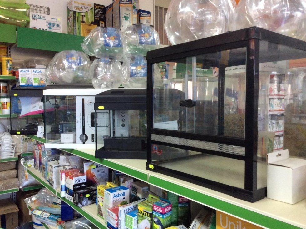 agrimaco vullo immagini acquari