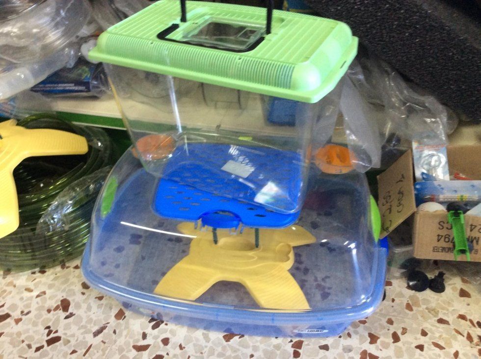 agrimaco vullo immagini acquari