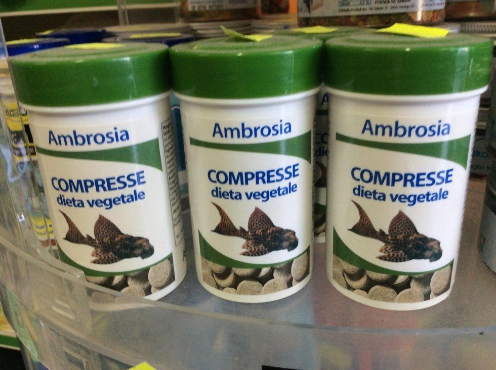 agrimaco vullo immagini acquari