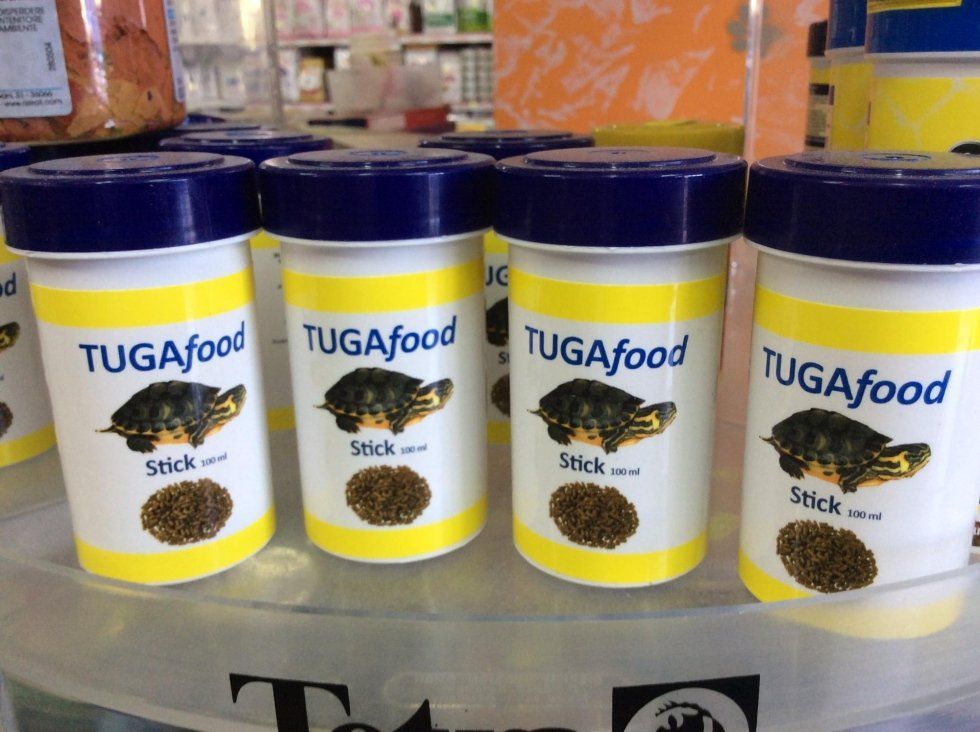 agrimaco vullo immagini acquari