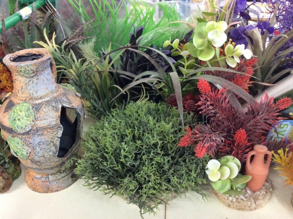 agrimaco vullo immagini acquari