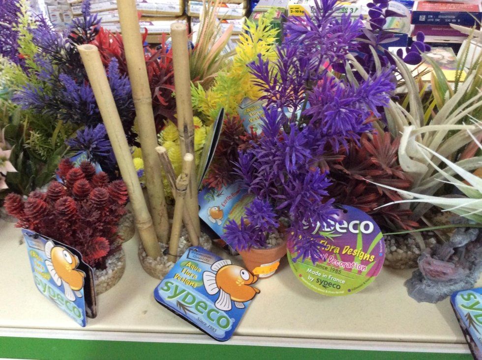 agrimaco vullo immagini acquari