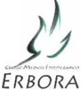 CENTRO MEDICO FISIOTERAPICO ERBORA sas-LOGO