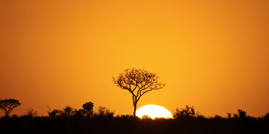 Experience South Africa with Victoria Falls add-on - November 2025 to 2027