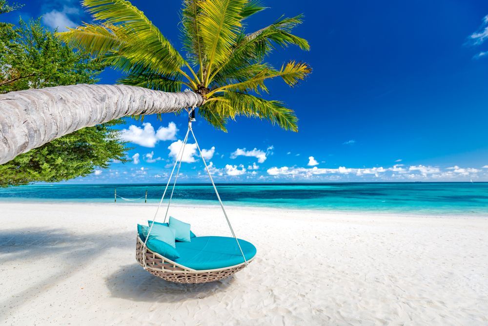 Swing seat under a palm tree on a white sand beach, turquoise water, sunny blue sky.