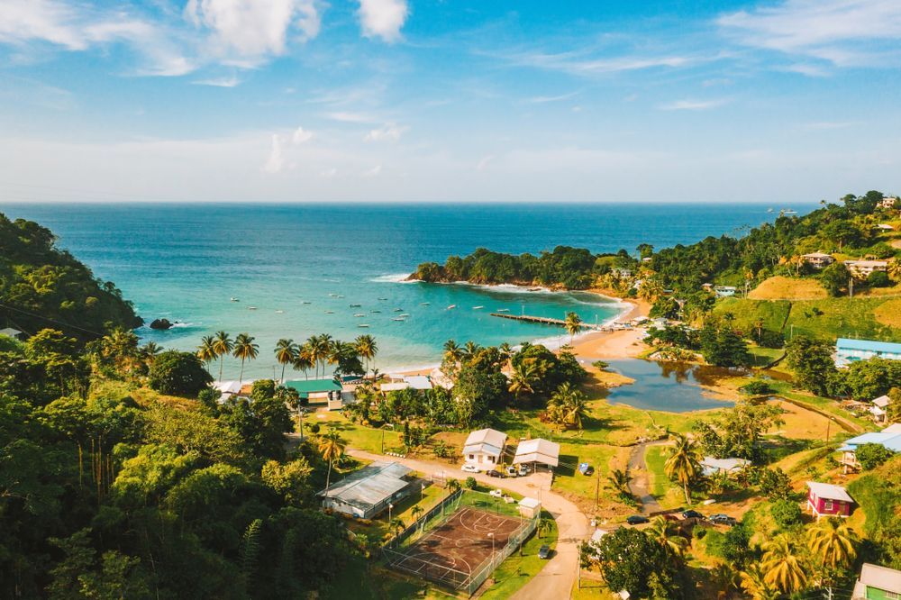 Tropical beach with blue water, sandy shore, palm trees, and lush green hills under a sunny sky.