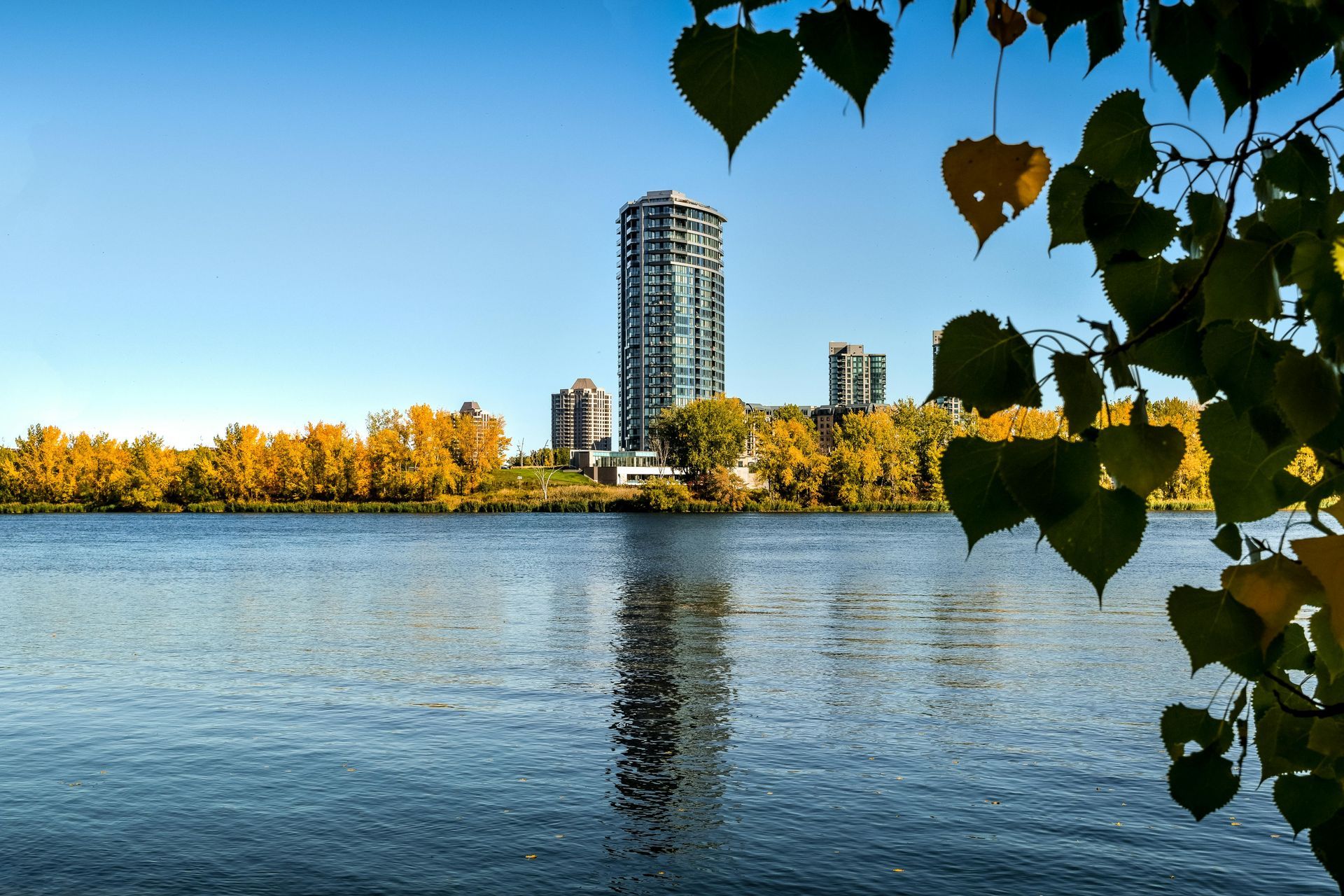 A high-rise building reflected in the water, framed by autumn leaves.